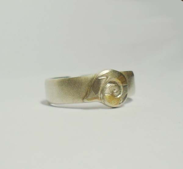 zehen-ring-silber-gold-schnecke.jpg